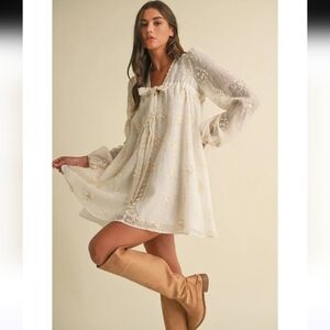 Ed Luxe sheer floral embroidered mini dress in ivory with balloon sleeve Sz S